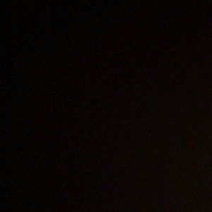 Meet your Posher, Cheyenne